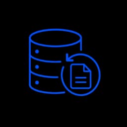 Data Recovery